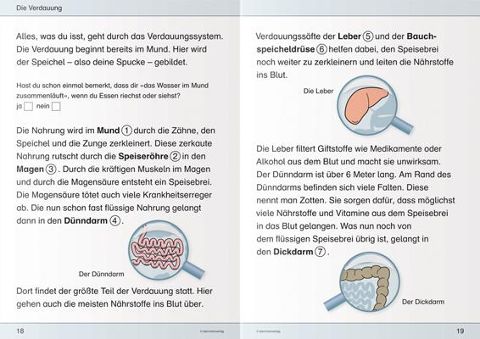 InsideView 2