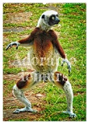 Adorable lemurs (Wall Calendar 2026 DIN A2 portrait), CALVENDO 12 Month Wall Calendar - Joern Stegen
