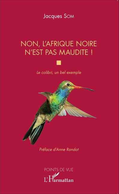 Non, l'Afrique noire n'est pas maudite - Som