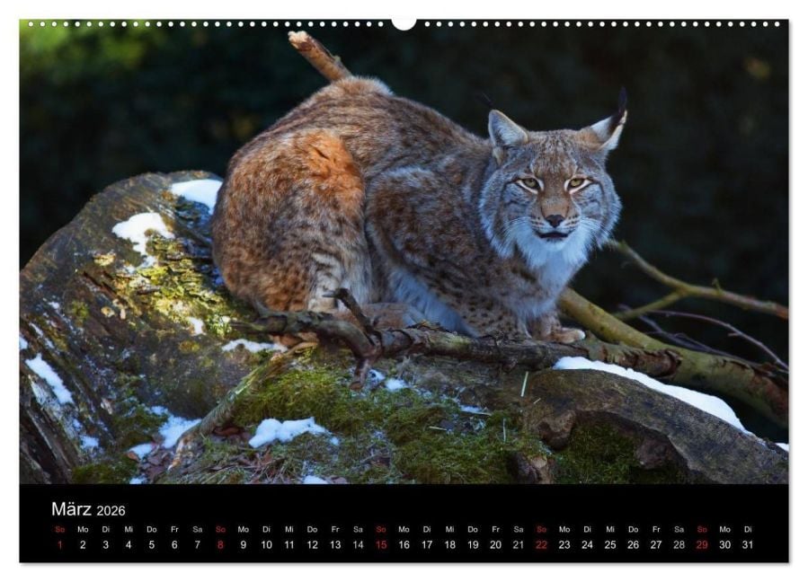 InsideView 8