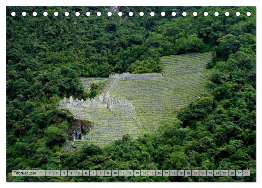 InsideView 7