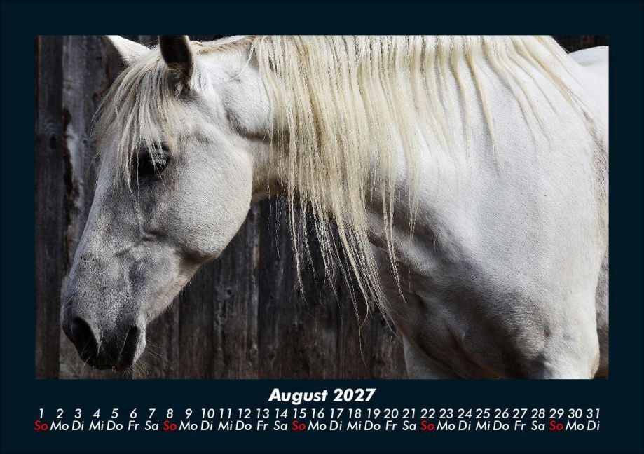 InsideView 12