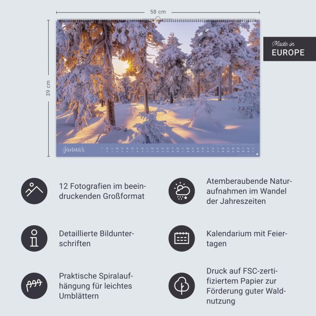 InsideView 13