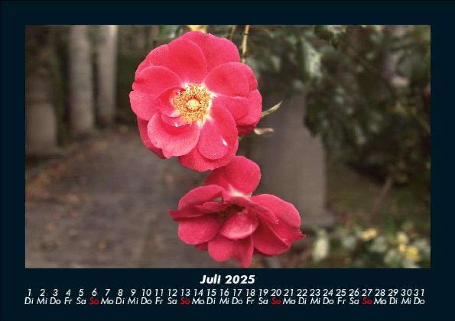 InsideView 11