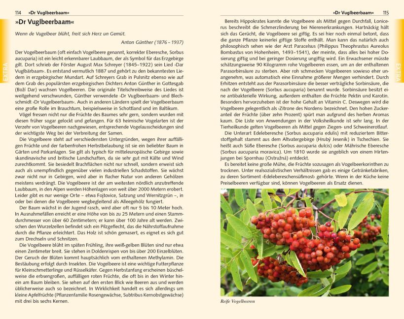 InsideView 13