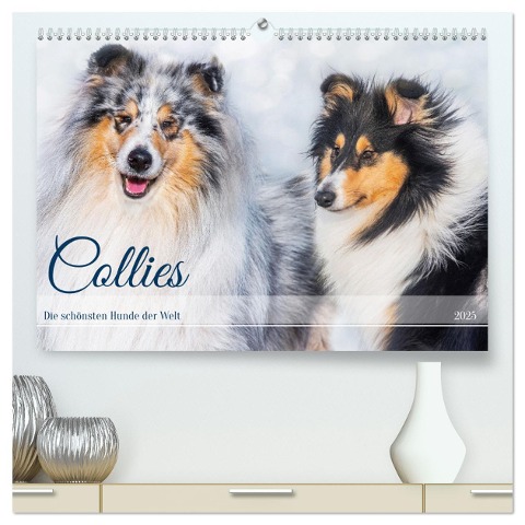 Collies - die schönsten Hunde der Welt (hochwertiger Premium Wandkalender 2025 DIN A2 quer), Kunstdruck in Hochglanz - Sigrid Starick