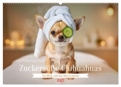 Cover-Bild zum Titel 'Zuckersüße Chihuahuas (Wandkalender 2027 DIN A2 quer), CALVENDO Monatskalender' von 'Torsten Irmer'