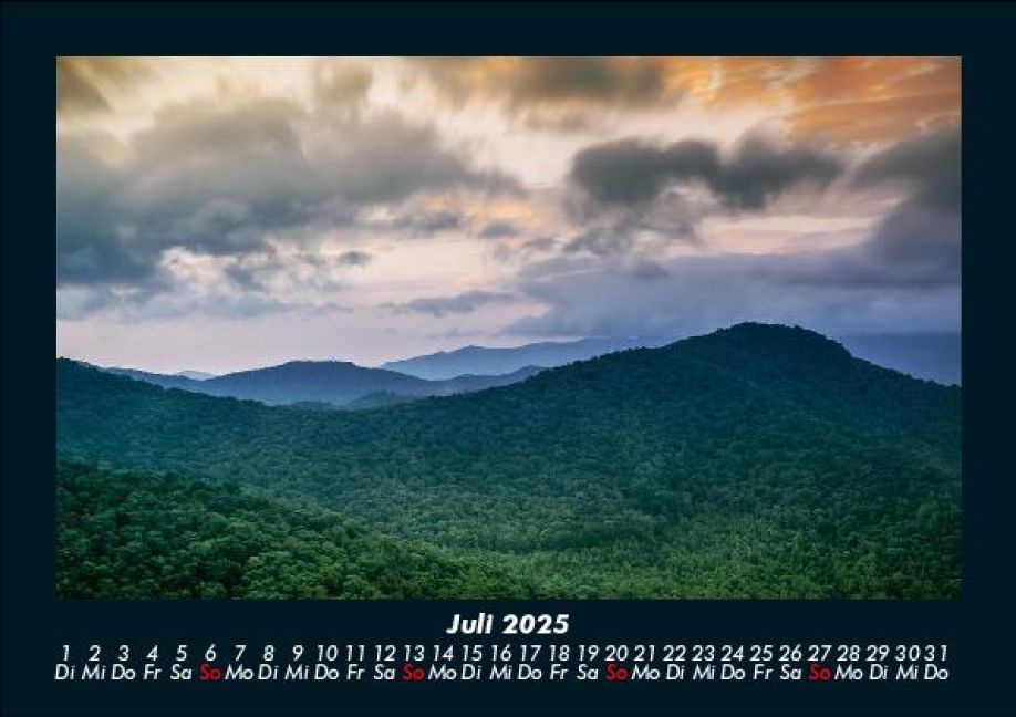 InsideView 11