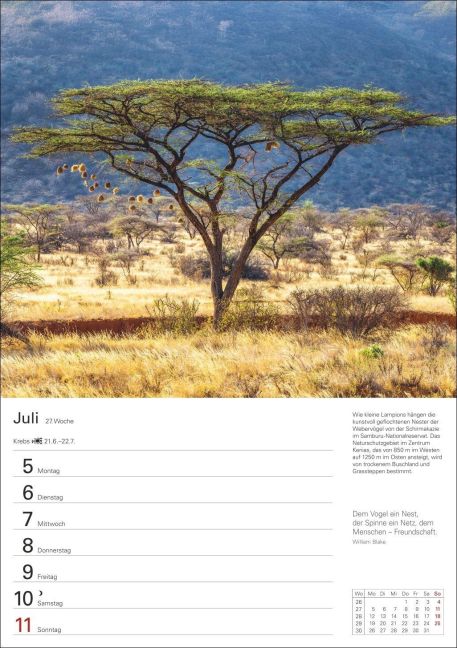 InsideView 8