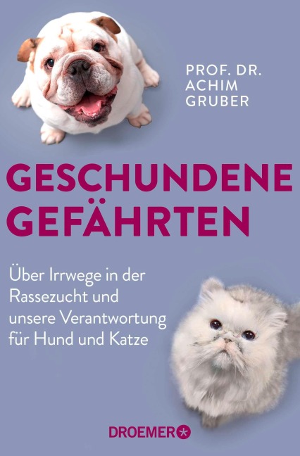 Geschundene Gefährten - Achim Gruber