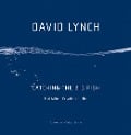 Catching the Big Fish - David Lynch