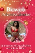 Cover-Bild zum Titel 'Adventskalender Blowjob' von 'Max Möller'
