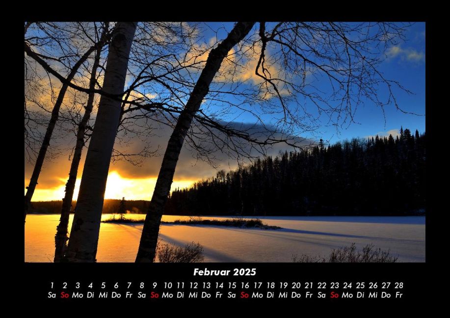InsideView 6