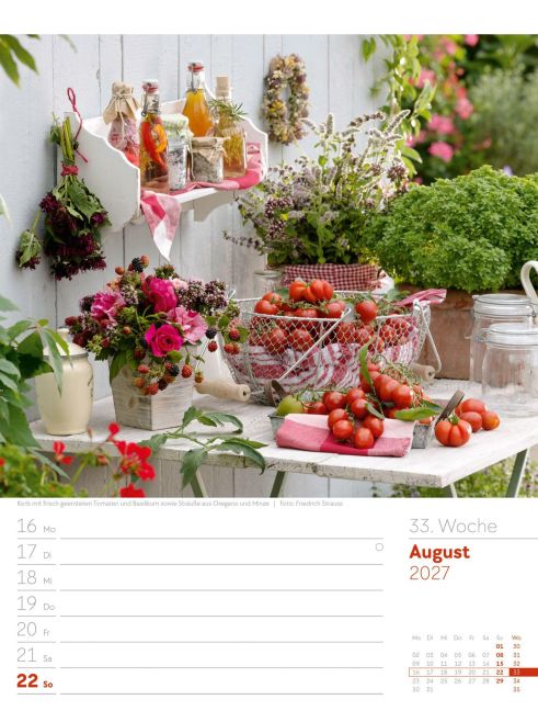InsideView 37