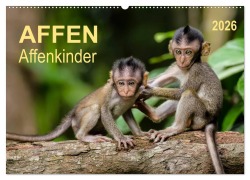 Cover-Bild zum Titel 'Affen - Affenkinder (Wandkalender 2026 DIN A2 quer), CALVENDO Monatskalender' von 'Peter Roder'