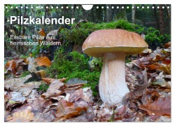 Pilzkalender (Wandkalender 2026 DIN A4 quer), CALVENDO Monatskalender - Rudolf Bindig