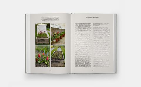 InsideView 7