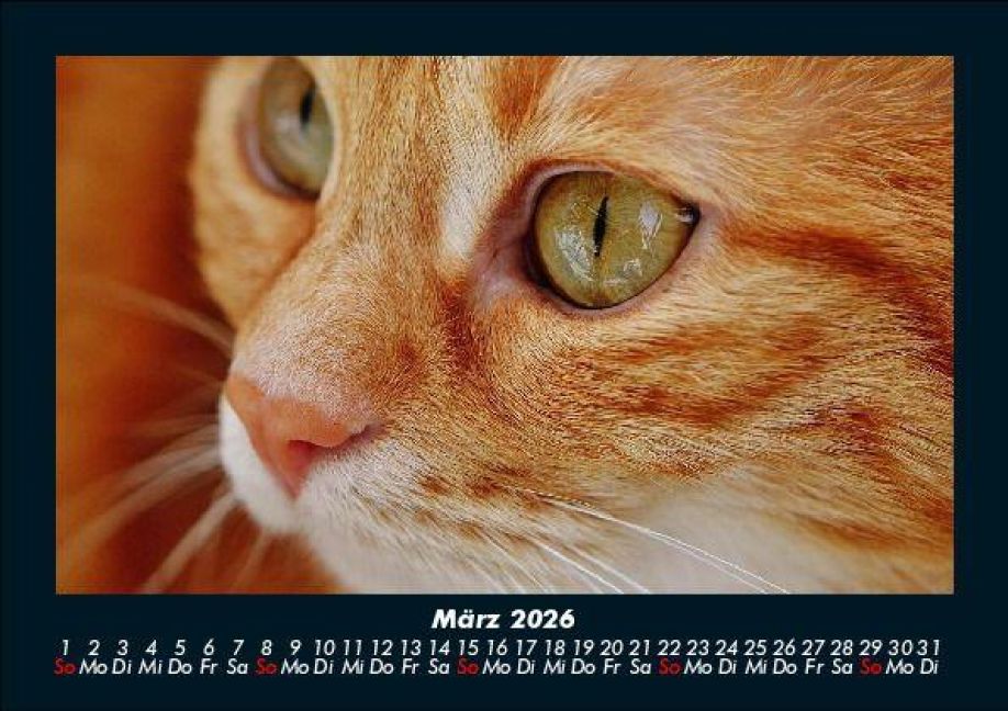InsideView 7