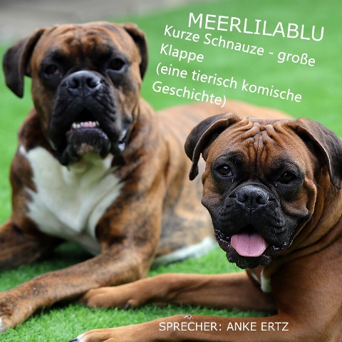 Kurze Schnauze - große Klappe - Anke Ertz