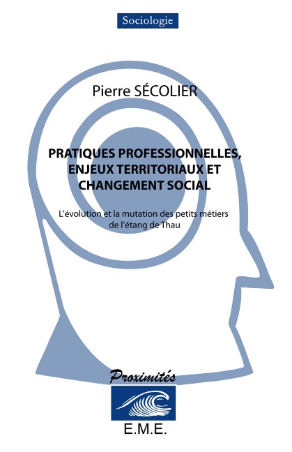 Pratiques professionnelles, enjeux territoriaux et changement social - Secolier Pierre