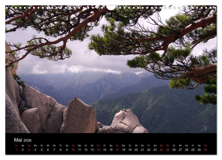 InsideView 10