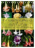 Brugmansia & Datura - Exotische Schönheiten (Tischkalender 2024 DIN A5 hoch), CALVENDO Monatskalender - Martina Cross