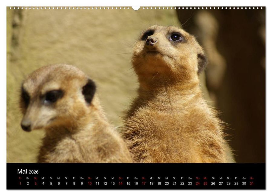 InsideView 10