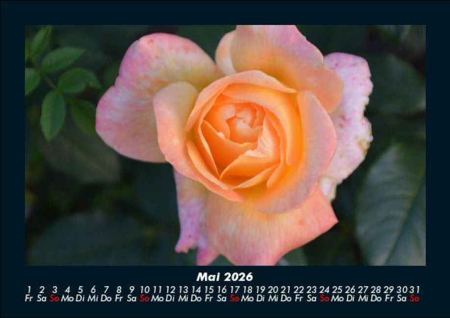 InsideView 9