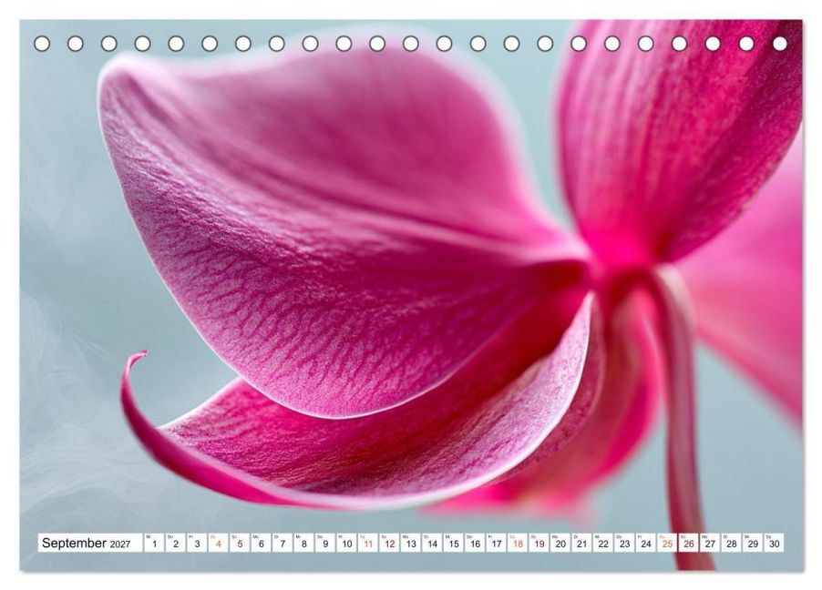 InsideView 14