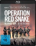 Cover-Bild zum Titel 'Operation Red Snake - Band of Sisters' von 'Caroline Fourest, Mathieu Lamboley'
