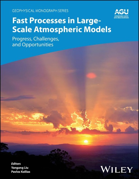 Fast Processes in Large-Scale Atmospheric Models - 