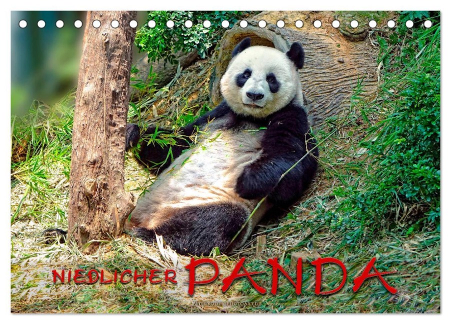 Niedlicher Panda (Tischkalender 2026 DIN A5 quer), CALVENDO Monatskalender - Peter Roder
