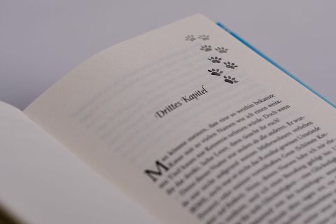 InsideView 2