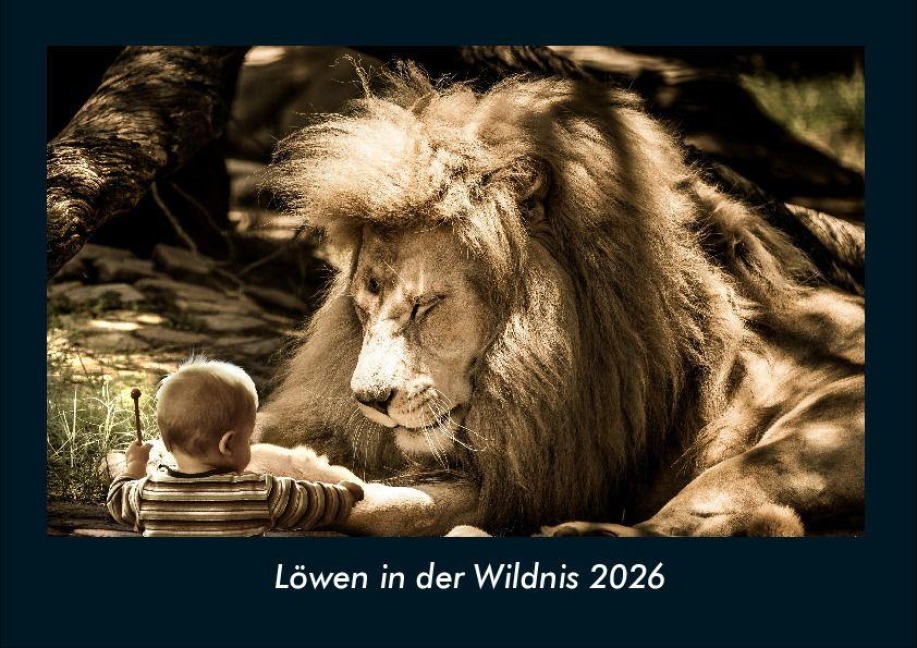 Löwen in der Wildnis 2026 Fotokalender DIN A4 - Tobias Becker
