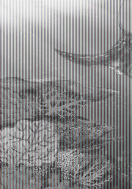 InsideView 10