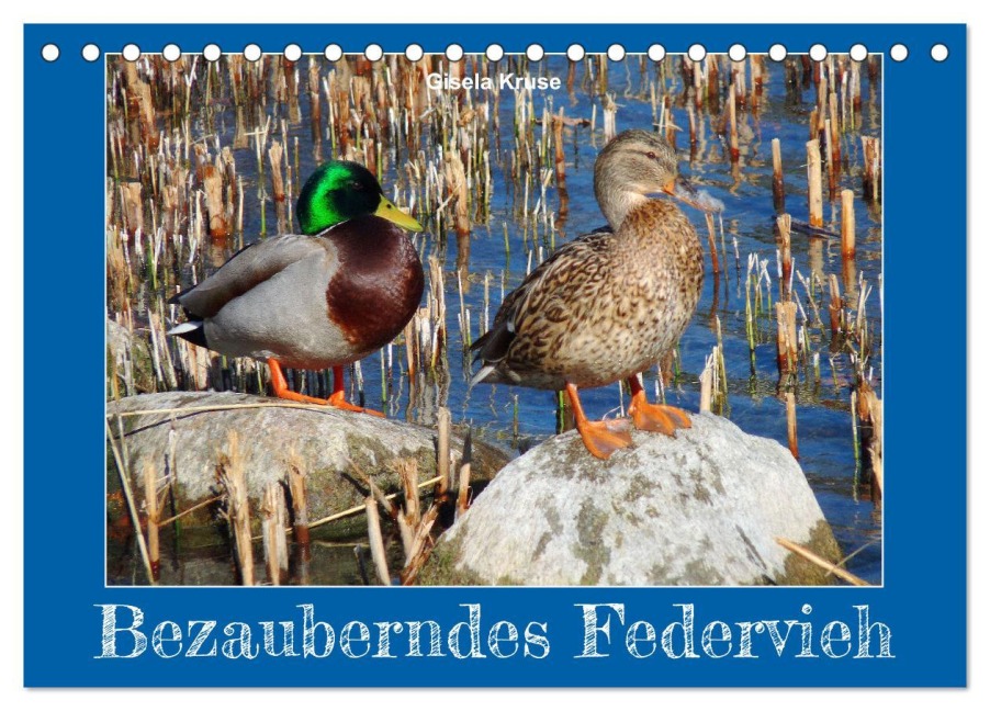 Bezauberndes Federvieh (Tischkalender 2026 DIN A5 quer), CALVENDO Monatskalender - Gisela Kruse