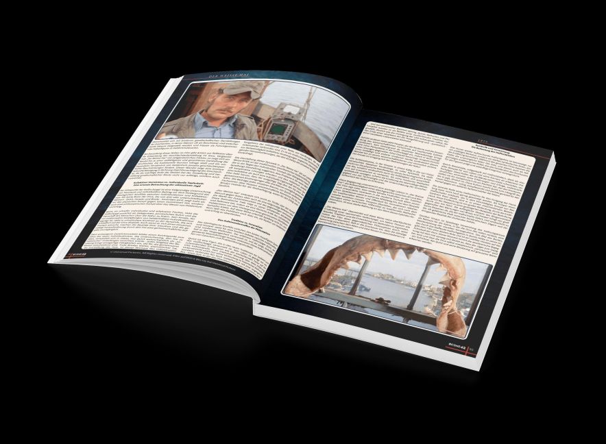 InsideView 1