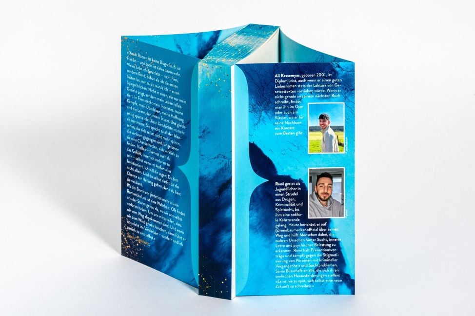 InsideView 3