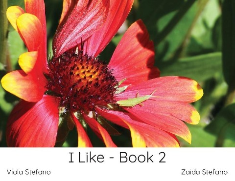 I Like - Book 2 - Zaida Stefano, Viola Stefano