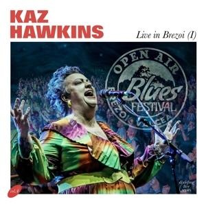 Live In Brezoi - Kaz Hawkins