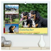 Cover-Bild zum Titel 'Entlebucher - Temperamentvolle Schweizer Sennenhunde (hochwertiger Premium Wandkalender 2026 DIN A2 quer), Kunstdruck in Hochglanz' von 'Jana K. Fotografie'