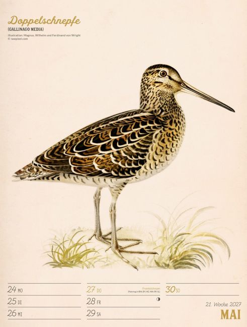 InsideView 25