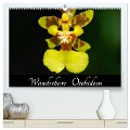 Wunderbare Orchideen (hochwertiger Premium Wandkalender 2025 DIN A2 quer), Kunstdruck in Hochglanz - Jürgen Wöhlke