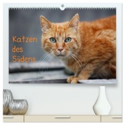 Cover-Bild zum Titel 'Katzen des Südens (hochwertiger Premium Wandkalender 2026 DIN A2 quer), Kunstdruck in Hochglanz' von 'Claudia Möckel Lucy L!u'