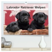Cover-Bild zum Titel 'Labrador Retriever Welpen (hochwertiger Premium Wandkalender 2026 DIN A2 quer), Kunstdruck in Hochglanz' von 'Peter Faber'