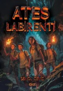 Cover-Bild zum Titel 'Ates Labirenti' von 'Senol Ceviz'