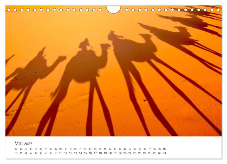 InsideView 10