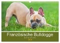 Französische Bulldogge - Kleine Helden auf vier Pfoten (Wandkalender 2024 DIN A3 quer), CALVENDO Monatskalender - Sigrid Starick