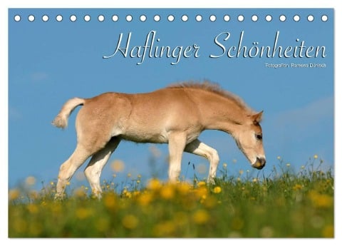 Haflinger Schönheiten (Tischkalender 2025 DIN A5 quer), CALVENDO Monatskalender - Ramona Dünisch - Www. Ramona-Duenisch. De