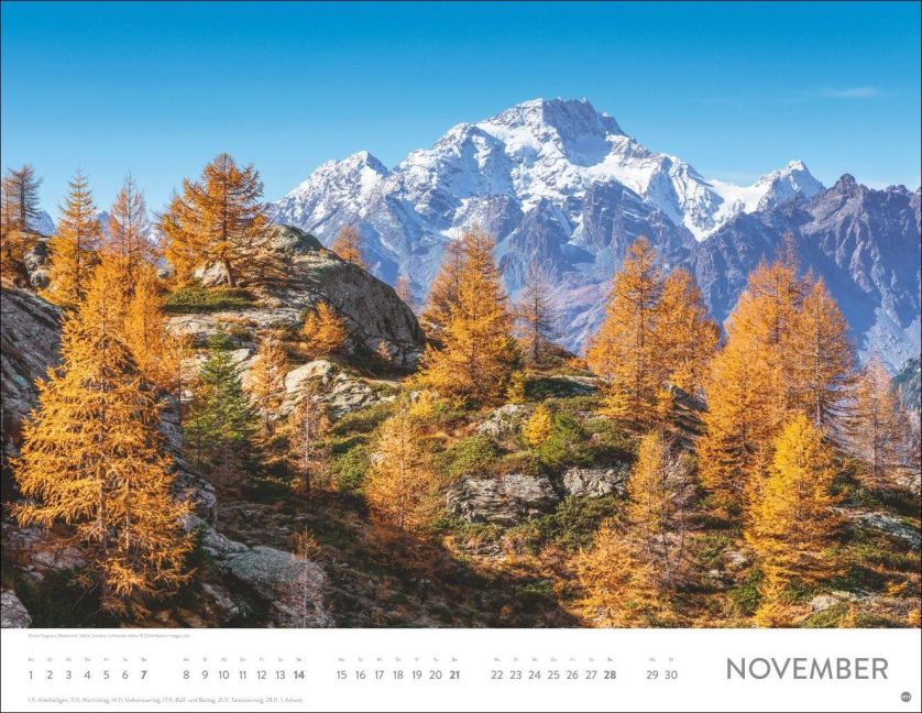 InsideView 11